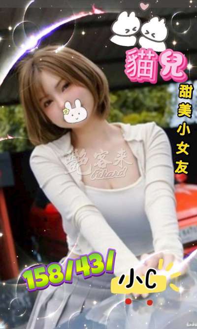 貓兒
