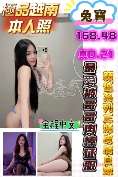 兔寶